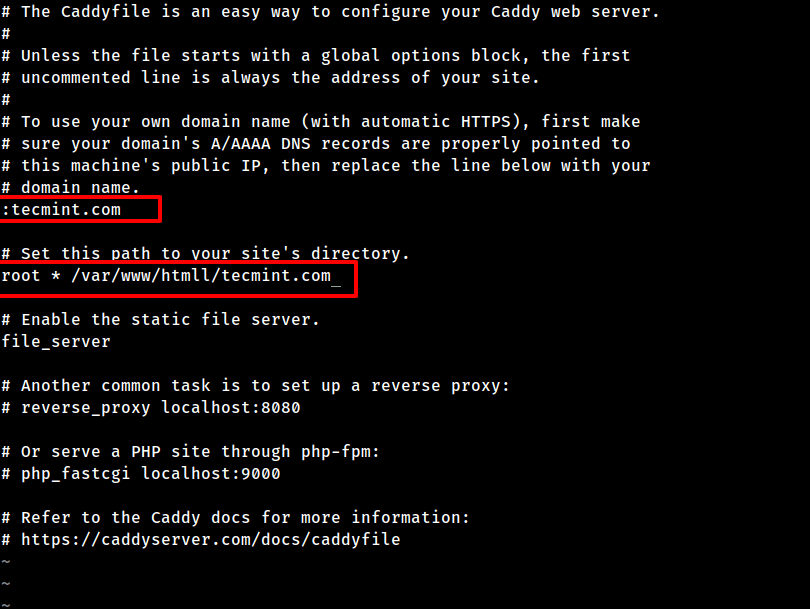 Configurare Caddy Web Server