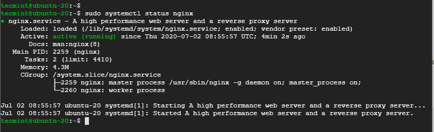 Verificare Nginx in Ubuntu 20.04