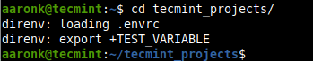 Il caricamento di envrc File in una Directory
