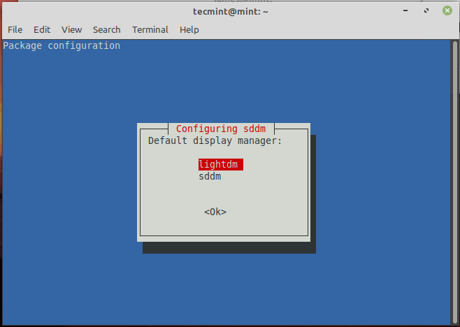 Set Di Linux Mint Display Manager