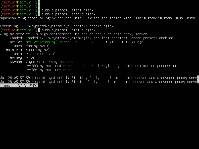 Verificare Nginx Stato in Ubuntu