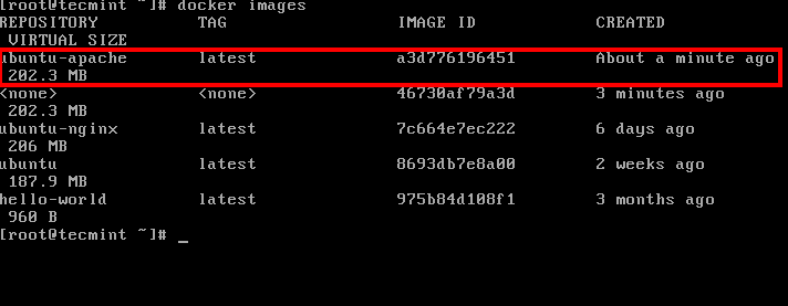 Elenco Di Tutti I Docker Immagini
