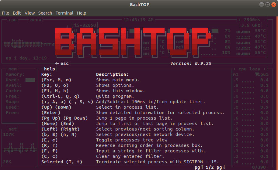 Bashtop Opzioni