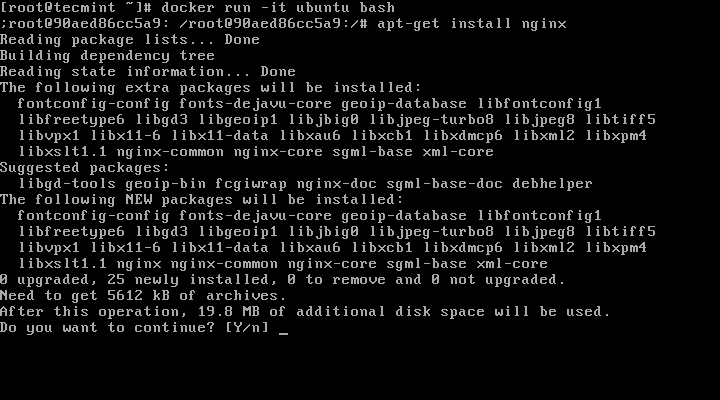 Installare Nginx su Mobile Contenitore