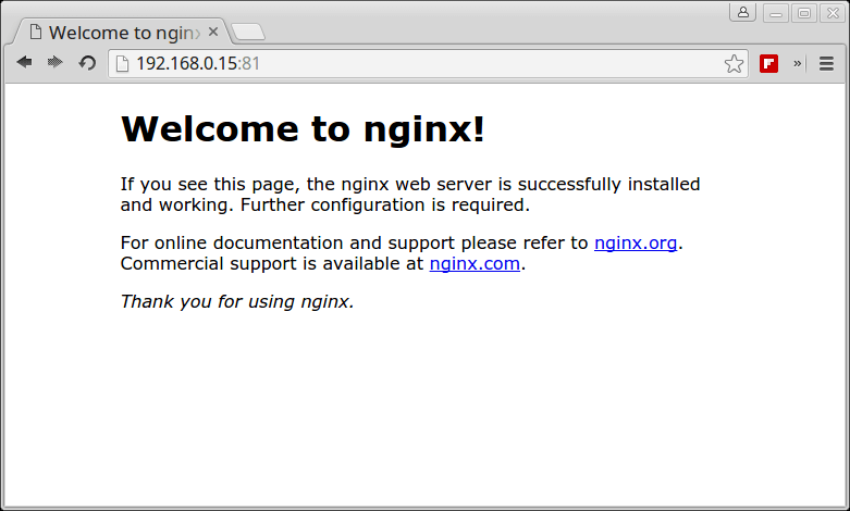 Verificare Nginx in Esecuzione in finestra Mobile Contenitore