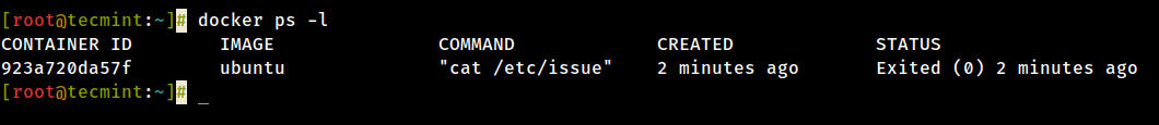 Elenco Esecuzione Di Contenitori Docker