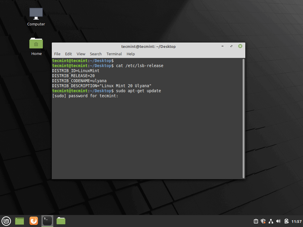 Aggiorna Linux Mint