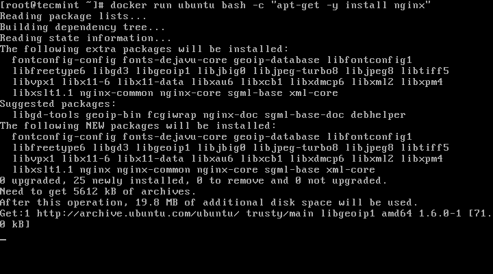Installare Nginx su Ubuntu Mobile Contenitore