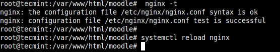 Controlla la configurazione di Nginx