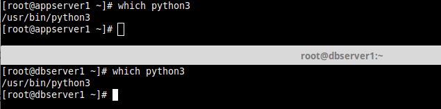 Controlla il file binario di Python3
