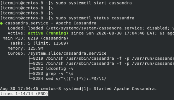 Verifica lo stato di Apache Cassandra