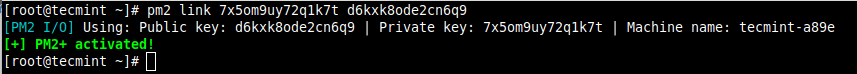 Collega PM2 a PM2.io su Nodejs Server