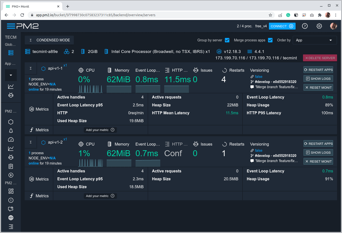 Monitora le applicazioni Nodejs dal dashboard PM2.io
