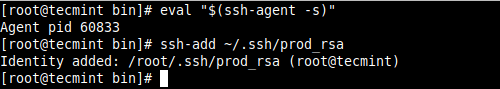 Avvia SSH Agent