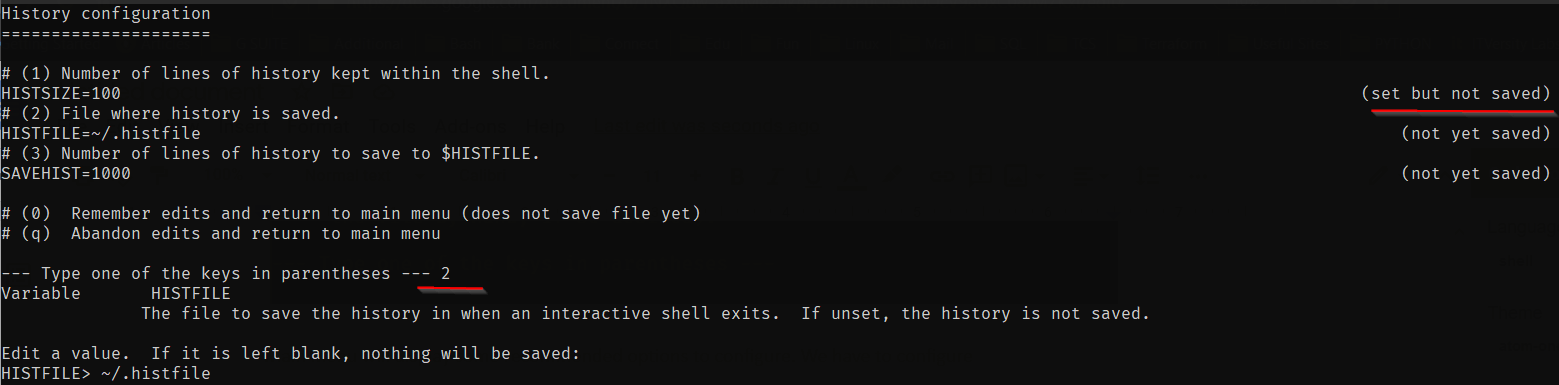Configurazione della cronologia Zsh