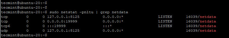 Controlla Netdata Port