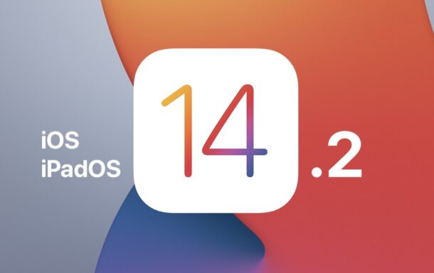 Aggiornamento iOS 14.2 e iPadOS 14.2
