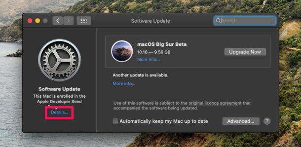 Come annullare la registrazione del tuo Mac da Developer e beta pubblica