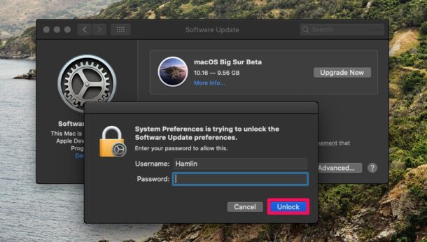 Come annullare la registrazione del tuo Mac da Developer e beta pubblica