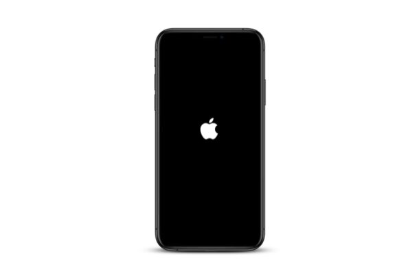 Come forzare il riavvio di iPhone 12. iPhone 12 Mini, iPhone 12 Pro