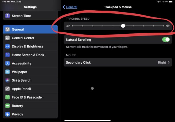 Come modificare la velocità di tracciamento del cursore dell'iPad