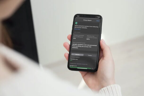 Come controllare il rapporto sulla privacy per i siti Web in Safari