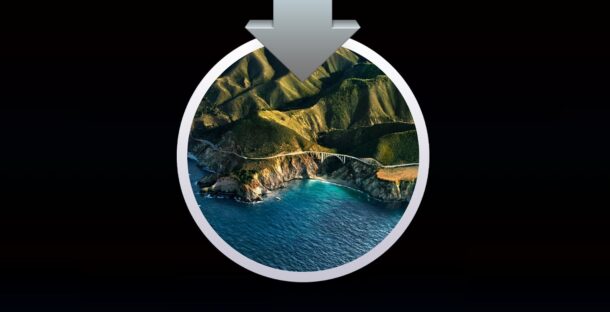 Esegui macOS Big Sur su Mac non supportato