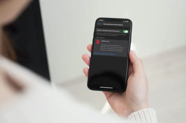 Come controllare i consigli sulla sicurezza della password su iPhone e iPad