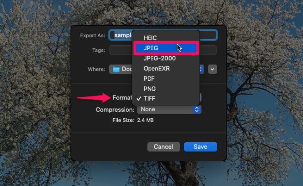 Come convertire le immagini WebP in JPG su Mac