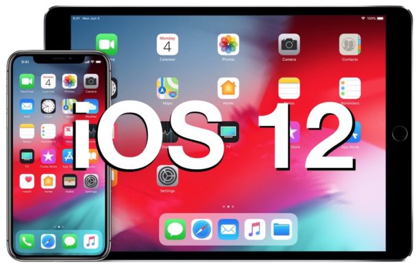 iOS 12.4.4 per iPhone e iPad