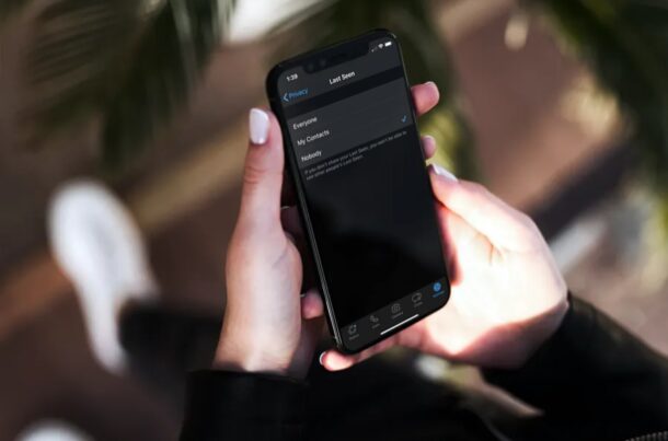Come nascondere l'ultimo accesso su WhatsApp