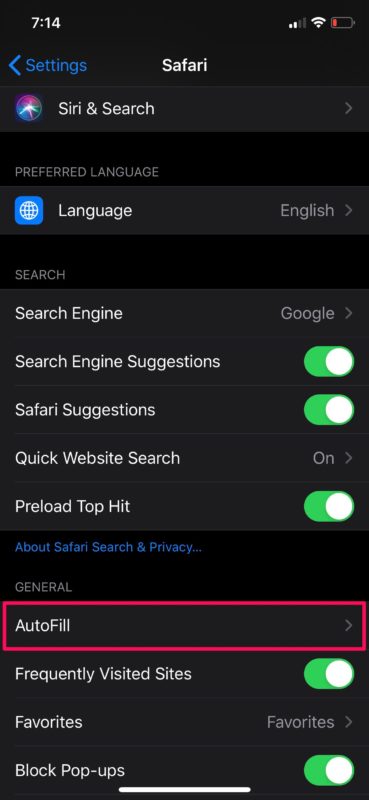 Come modificare le informazioni di riempimento automatico su iPhone e iPad