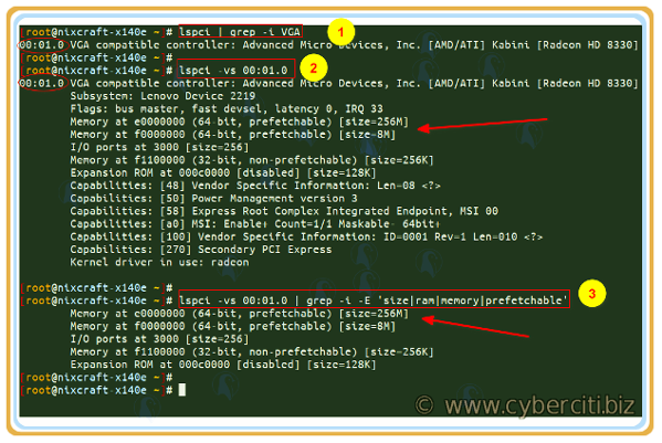 Come scoprire la dimensione della RAM della memoria della GPU della scheda video AMD su Linux