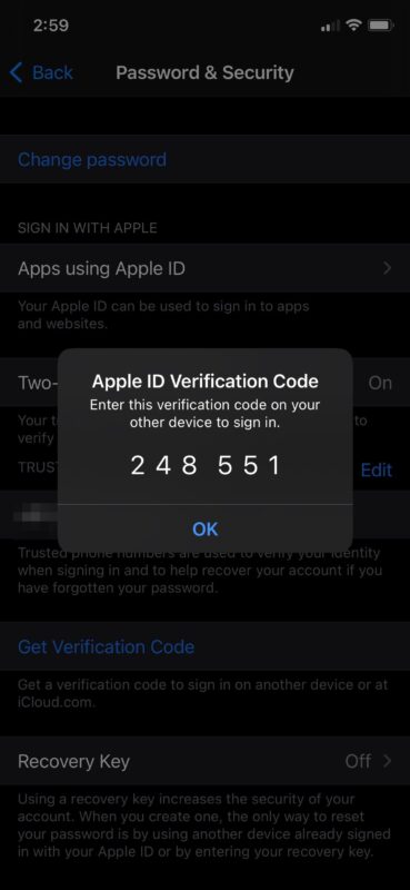 Come ottenere manualmente i codici di verifica per l'ID Apple su iPhone e iPad