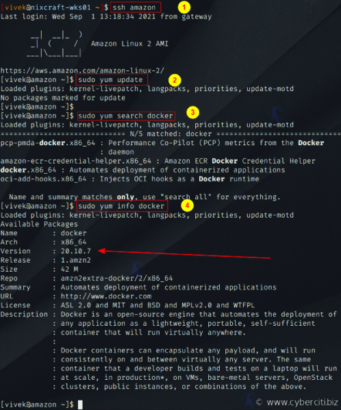 Ricerca del pacchetto Docker su Amazon Linux 2 AMI