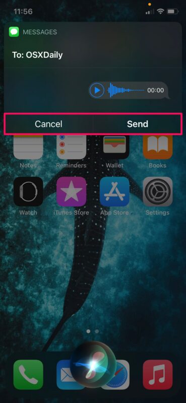 Come inviare messaggi audio con Siri da iPhone