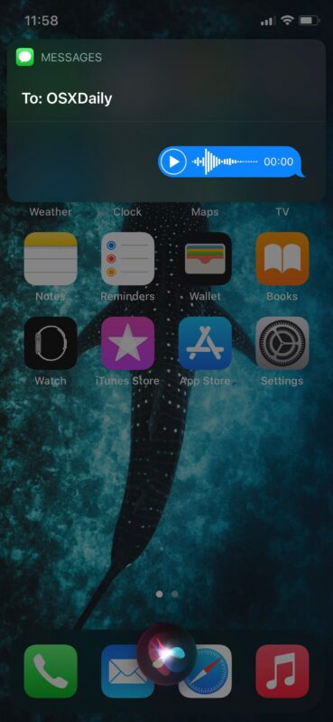 Come inviare messaggi audio con Siri da iPhone