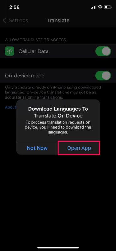 Come abilitare la modalità su dispositivo per la traduzione su iPhone