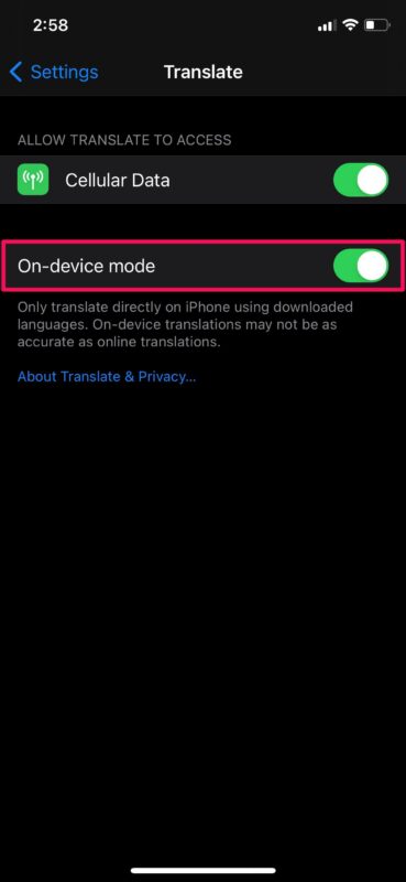 Come abilitare la modalità su dispositivo per la traduzione su iPhone