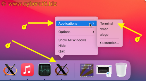 Inoltro X11 su MacOS utilizzando l'app Xterm e ssh