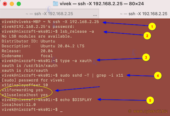 Risoluzione dei problemi di inoltro X11 su server Linux e BSD Unix