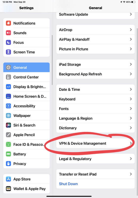 Rimozione del profilo beta di iOS 15 / ipadOS 15
