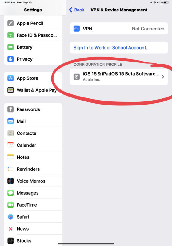 Rimozione del profilo beta di iOS 15 / ipadOS 15