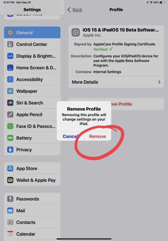 Rimozione del profilo beta di iOS 15 / ipadOS 15