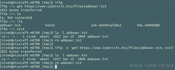 Download di file con lftp su FreeBSD box