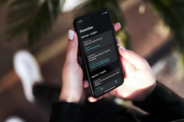 Come aggiungere traduzioni ai preferiti su iPhone e iPad