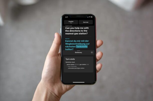 Come controllare le definizioni delle parole tradotte in Translate su iPhone e iPad