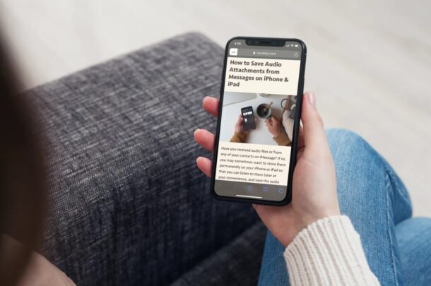 Come cambiare il carattere e lo sfondo della vista Reader su iPhone