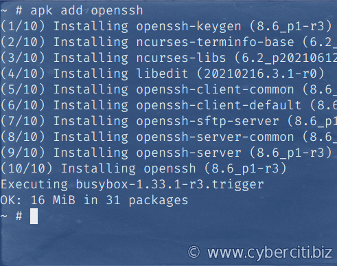 Come installare il server OpenSSH su Alpine Linux usando apk