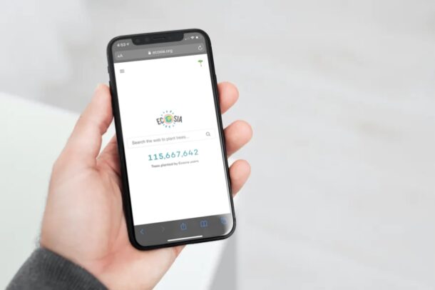 Come impostare Ecosia come motore di ricerca predefinito su iPhone